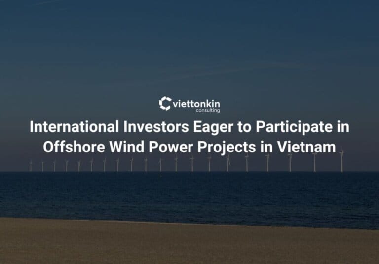International Investors Eager to Participate in Offshore Wind Power Projects in Vietnam
