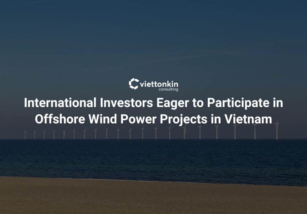 International Investors Eager to Participate in Offshore Wind Power Projects in Vietnam