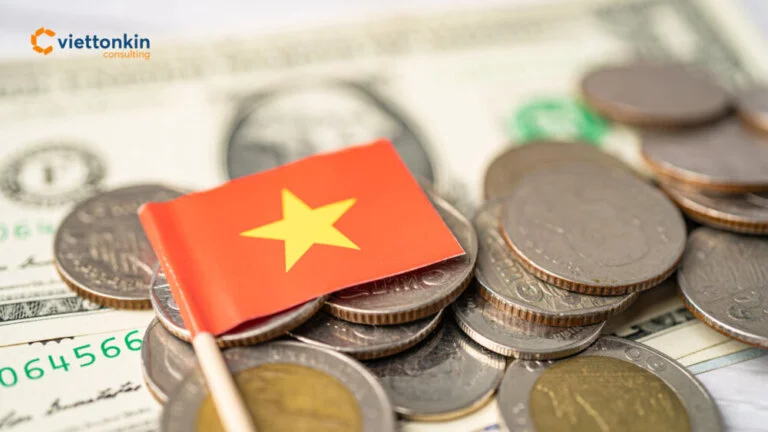fdi-company-in-vietnam-2