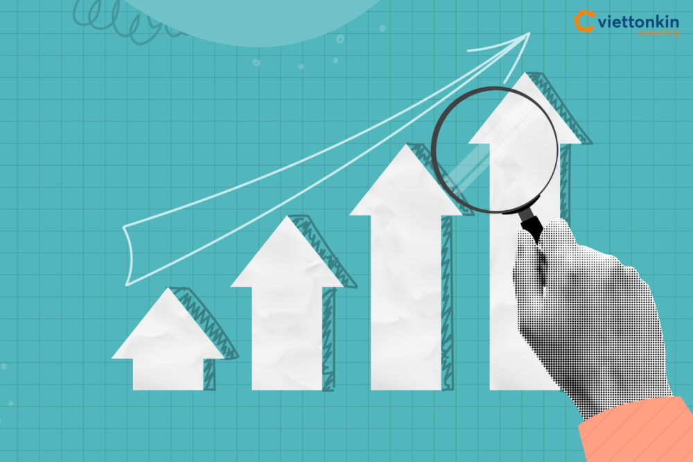 Vietnam Investment Recovery and GDP Growth Driven by Public and Private Capital