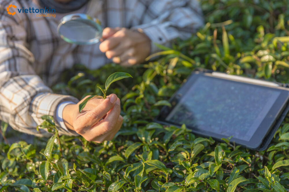 smart farming thailand