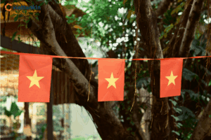 Governance Risks in Vietnam’s Two-Tier Local Government System and How the Legal–Institutional Framework Mitigates Them