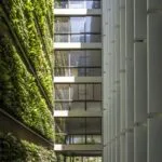 Green building sustainable architecture
