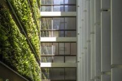 Green building sustainable architecture